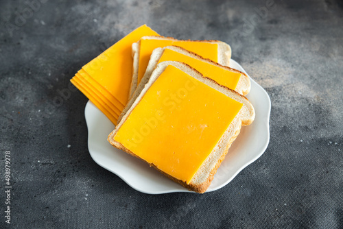 cheese sandwich cheddar or mimolette cheese fresh healthy meal food snack diet on the table copy space food background rustic top view photo