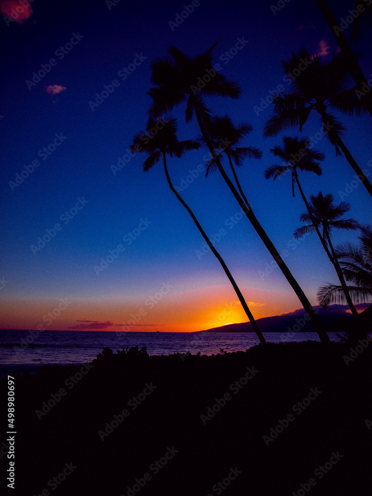 Obraz premium Night over Lanai