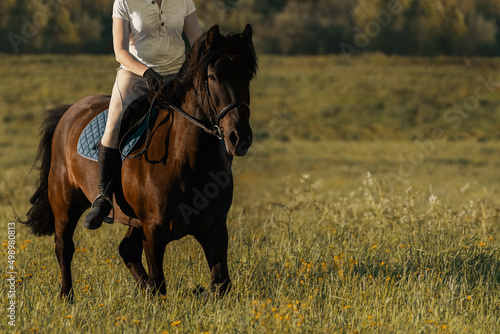 Caucasian woman riding with horse in field. © Ирина Орлова