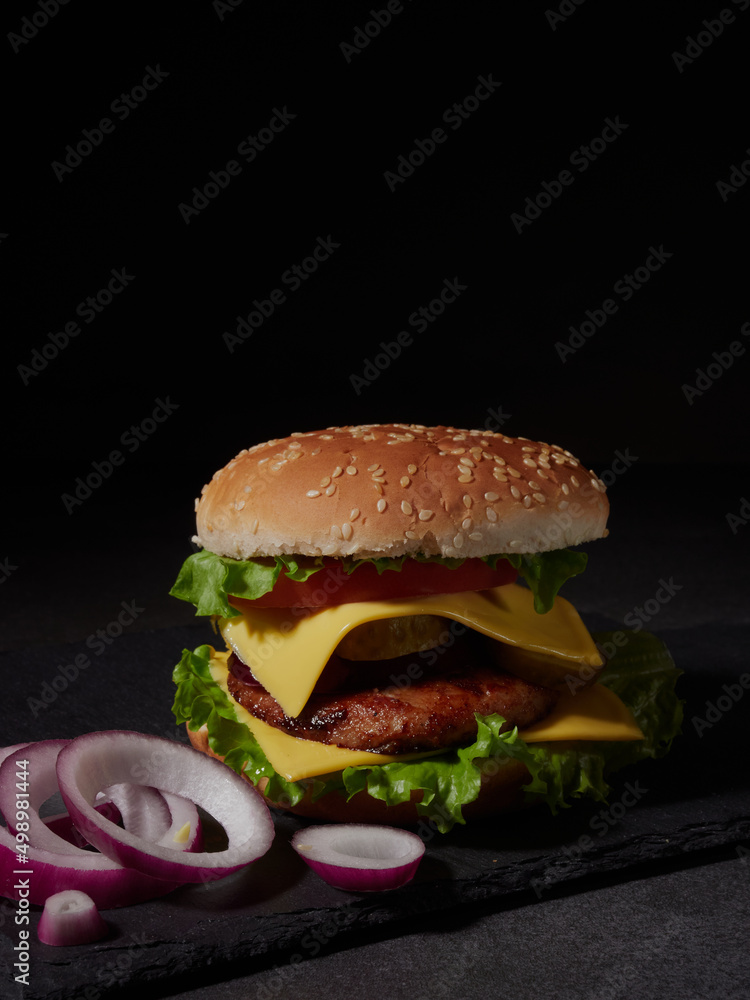 homemade hamburger with French fries tomatoes and cheese and herbs and onions homemade hamburger with French fries tomatoes and cheese and herbs and onions