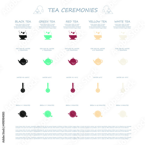 Tea brewing instructions. How to brew tea properly. Tea ceremony infographic.