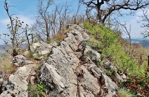 Bild auf Leinwand Lägern-Höhenweg, Gratwanderung, Schweizer Jura