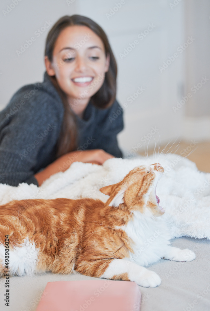 Looks like someone needs a cat nap. Shot of a cat yawning while bonding with its owner at home. Looks like someone needs a cat nap. Shot of a cat yawning while bonding with its owner at home.