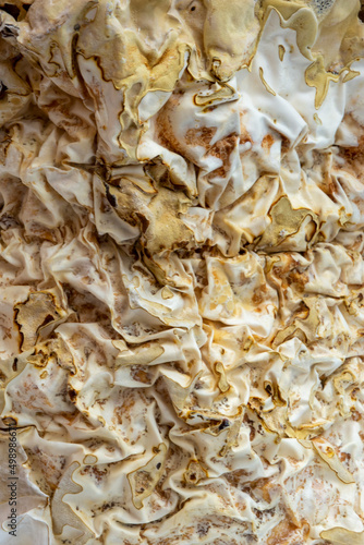 Mycelium Texture