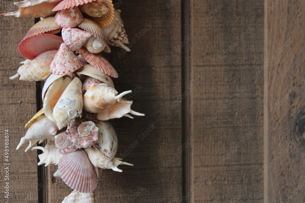 Sea Shells Hanging On A Wooden Wall. 