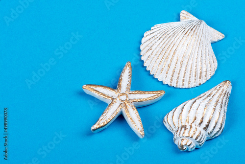 Shells and starfish