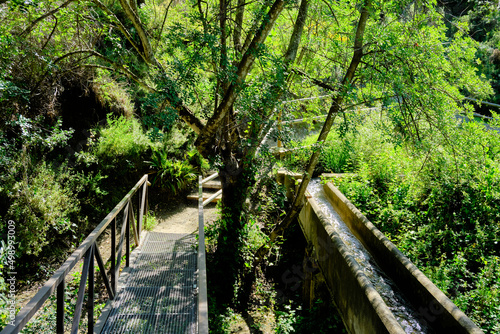 Irrigation canal in plantation