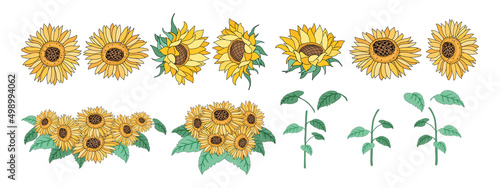 Sunflower element set Designed in doodle style, for decorations, cards, postcards, apparel patterns, printed fabrics, fashion, scrapbook, pillow designs, bags and more.