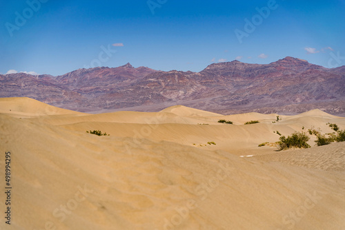 Mesquite Flat Sand Dunes in Death Valley. Mountains on background