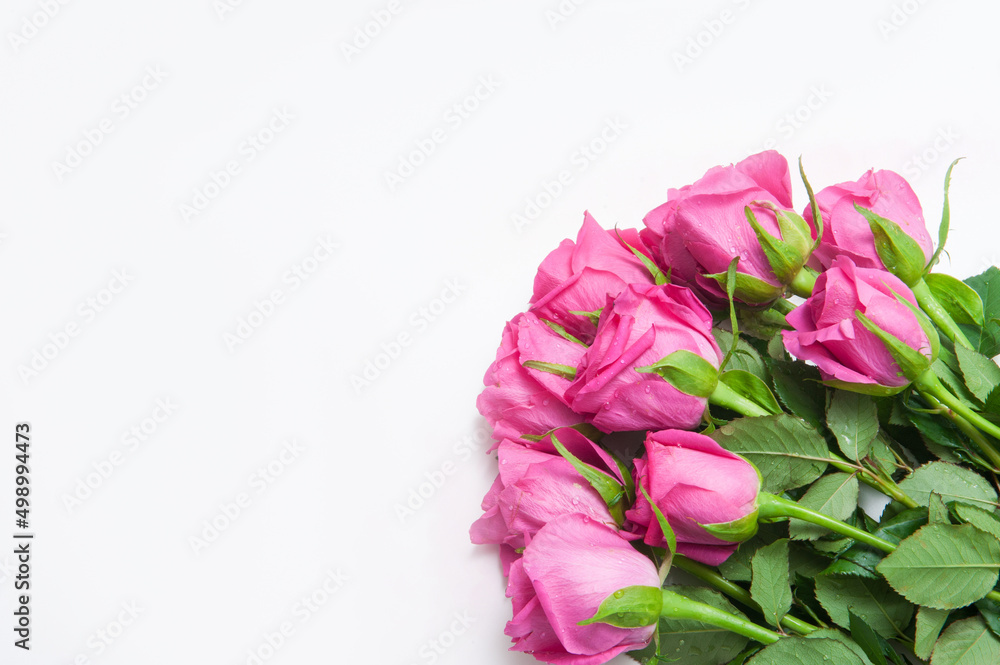 Bouquet of pink roses on a white background