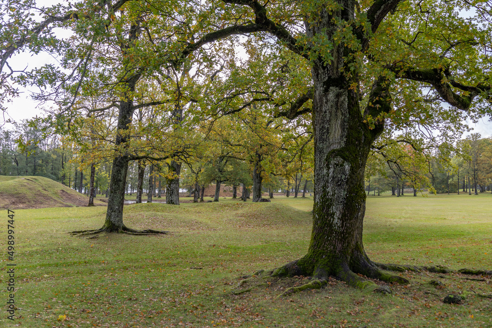In Borre, which is located in Vestfold county (Norway), you can see 9 large and about 30 smaller burial mounds. The mounds are beautifully situated down towards the fjord in a park with large oak tree In Borre, which is located in Vestfold county (Norway), you can see 9 large and about 30 smaller burial mounds. The mounds are beautifully situated down towards the fjord in a park with large oak tree
