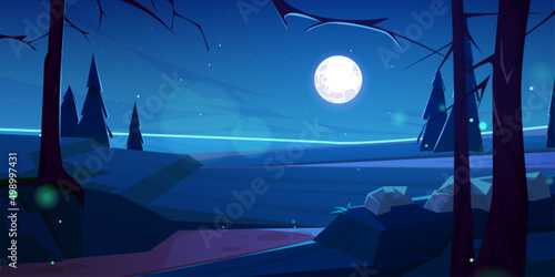 Autumn landscape with bare trees and firs on field at night. Vector cartoon illustration of fall nature scene, countryside with stones, coniferous trees, stars and full moon in sky