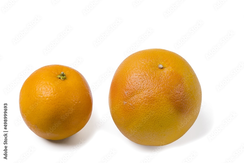 Close up view of ripe grapefruit and orange isolation on white background. Close up view of ripe grapefruit and orange isolation on white background.
