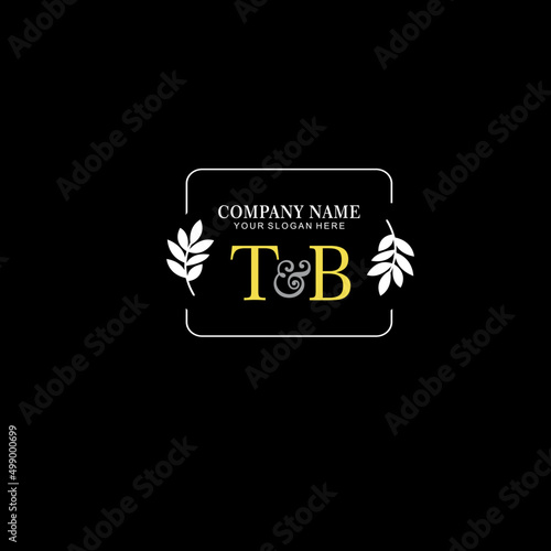 TB Beauty vector initial logo art handwriting logo of initial signature, wedding, fashion, jewelry, boutique, floral