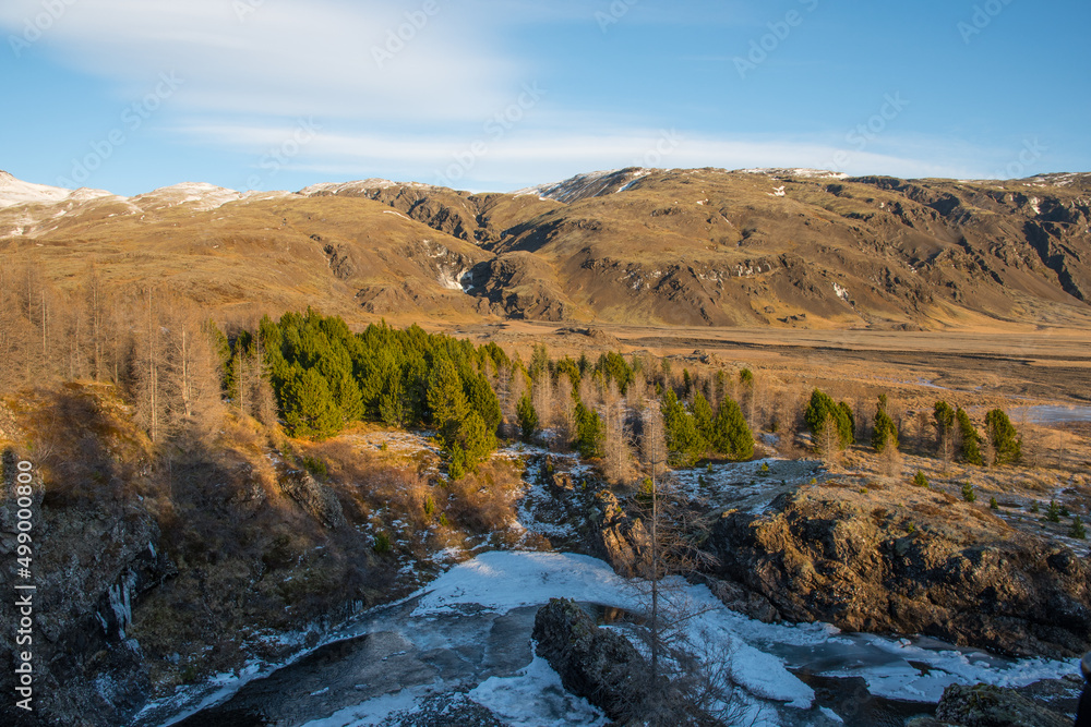 Winter day in the forestry area of Haukafell in Iceland