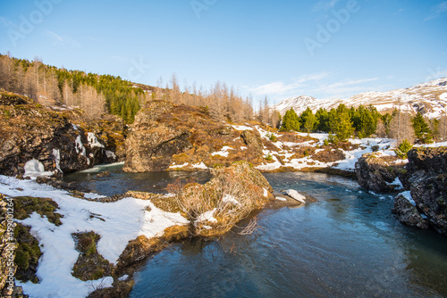 Winter day in the forestry area of Haukafell in Iceland