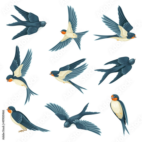 Swallow or Martin Passerine Bird with Long Tail and Pointed Wings Flying and Gliding Vector Set