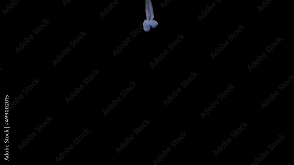 A thin plume of blue smoke drifts very slowly from top to bottom against a black background. A thin plume of blue smoke drifts very slowly from top to bottom against a black background.