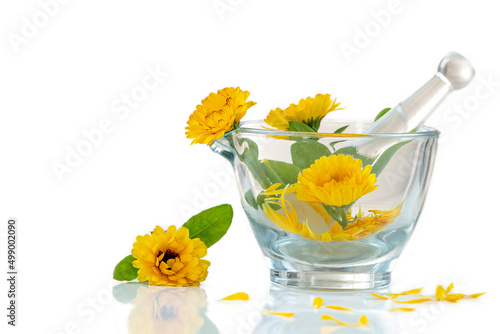 Image of marigolds in a glass mortar isolated on white background. photo