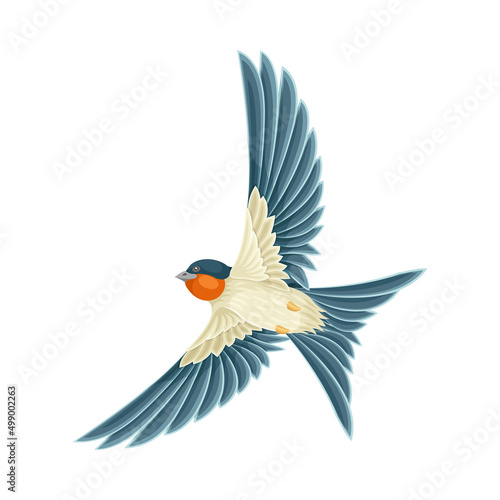 Swallow or Martin Passerine Bird with Long Tail and Pointed Wings Flying or Gliding Vector Illustration