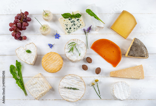 Tray of wide variety of cheeses deposited on white board in top view. photo