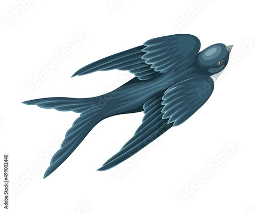 Swallow or Martin Passerine Bird with Long Tail and Pointed Wings Flying or Gliding Vector Illustration