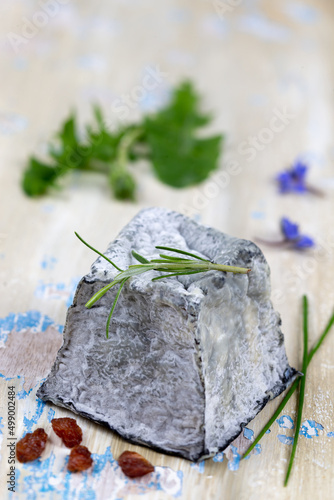 Close up of a single ashy goat cheese in top view.