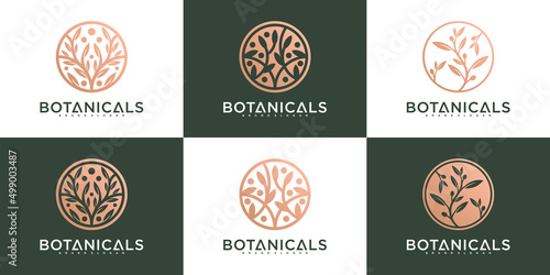 Set of botanical business logo template, design for organic business Premium Vector