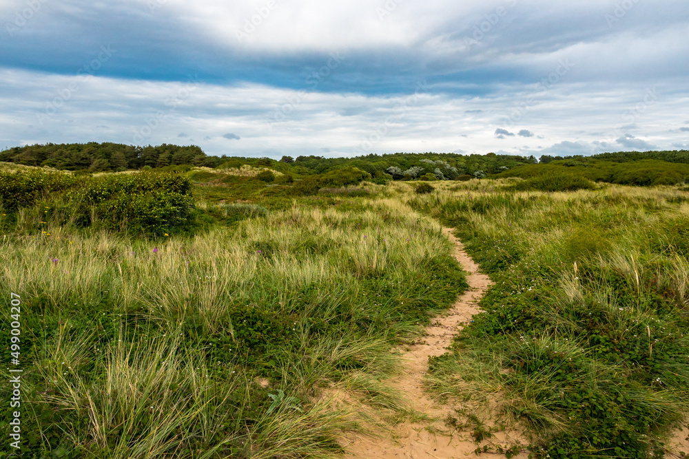 Grüne Dünenlandschaft an der englischen Küste mit Trampelpfand
