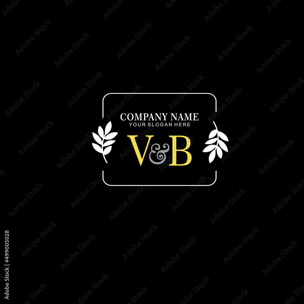 VB Beauty vector initial logo art  handwriting logo of initial signature, wedding, fashion, jewelry, boutique, floral