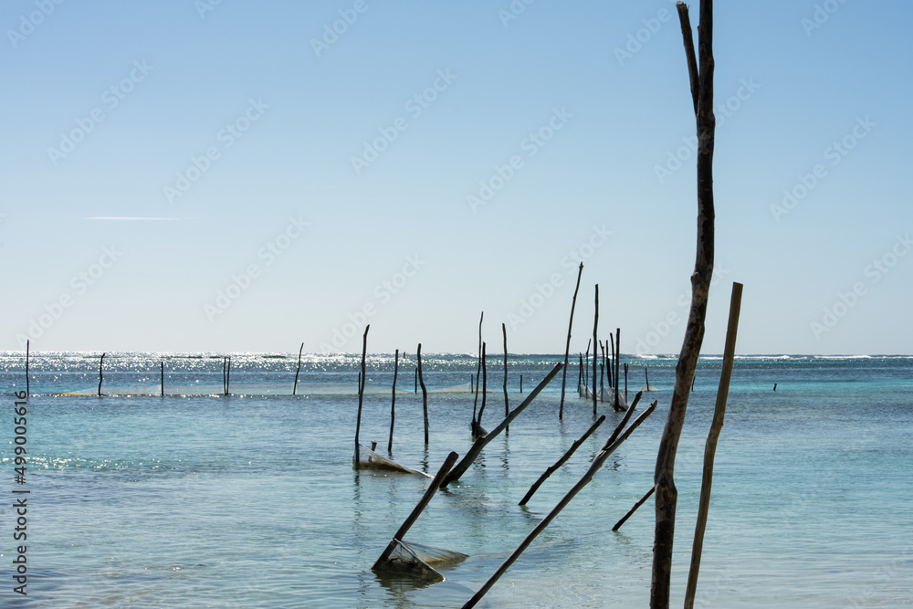 A line of wooden stick posts leading out into the ocean