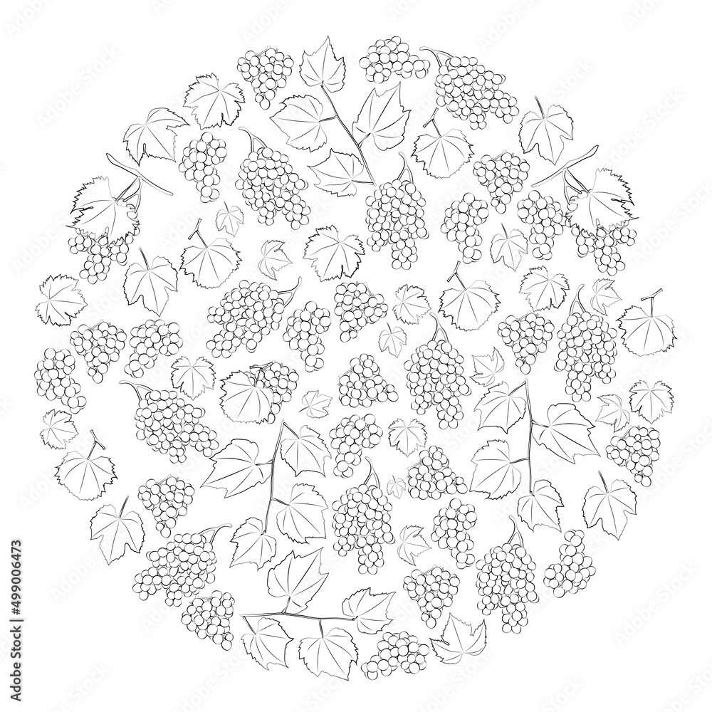 A set of black and white grapes in a circle. Vector graphics A set of black and white grapes in a circle. Vector graphics