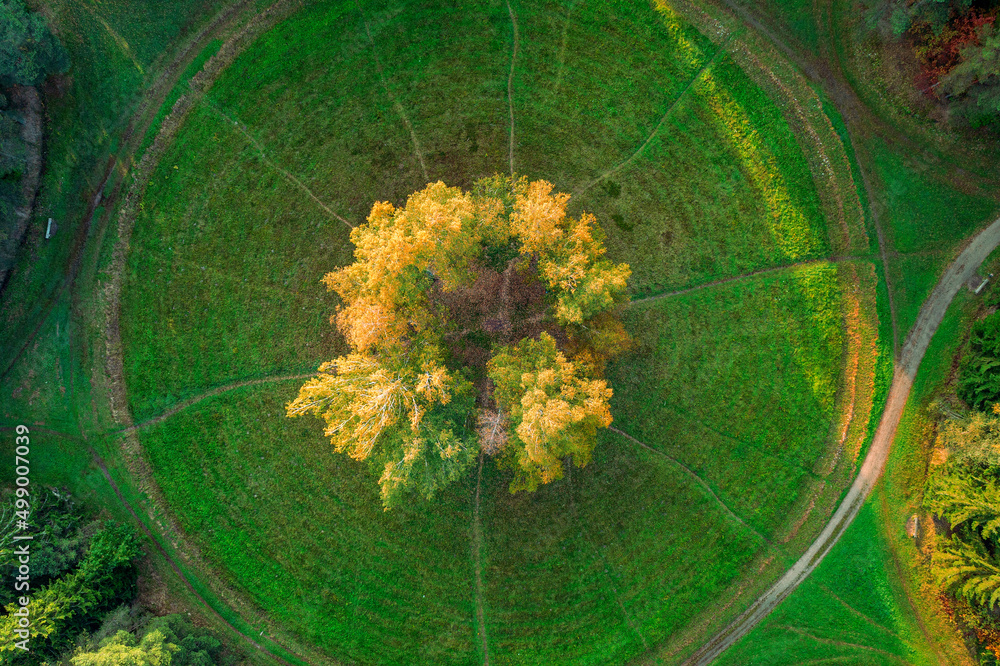 Round glade in the park with a birch circle on it aerial