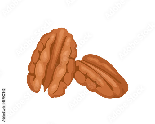 Pecan vector icon. Cartoon flat illustration of nuts.