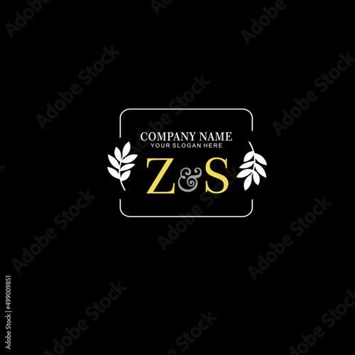 ZS Beauty vector initial logo art handwriting logo of initial signature, wedding, fashion, jewelry, boutique, floral