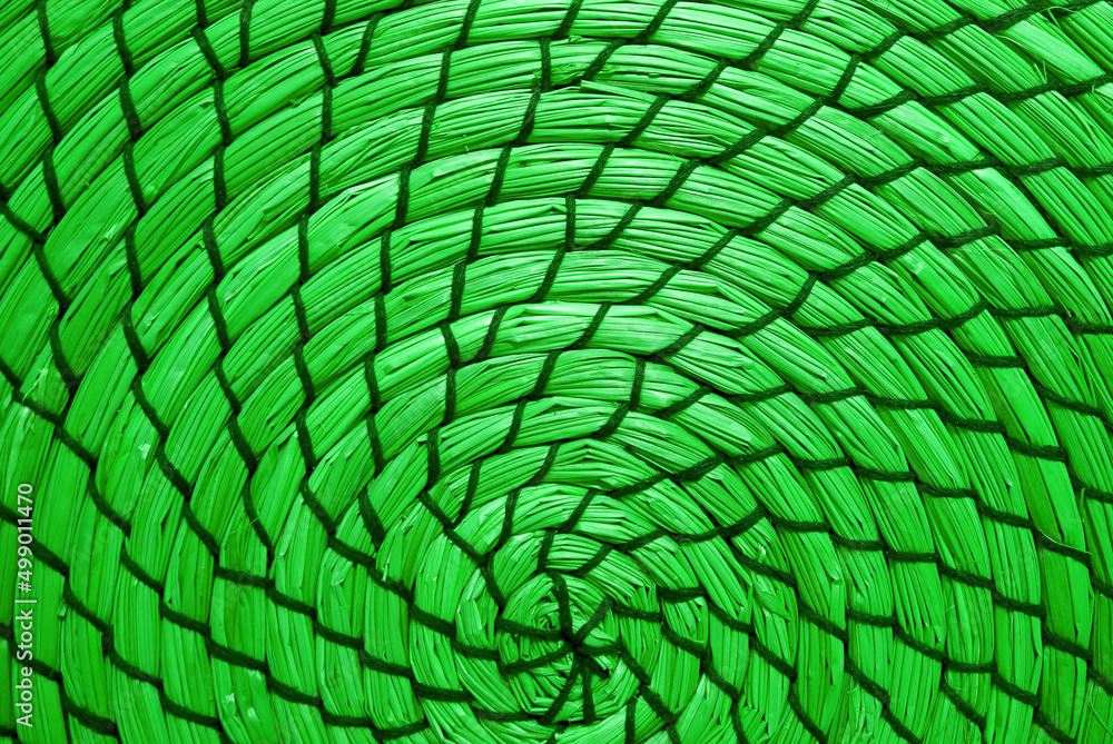 Fototapeta premium Artistic parakeet green colored woven water hyacinth place mat