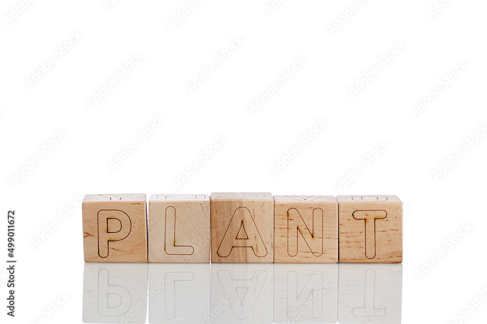 Wooden cubes with letters plant on a white background