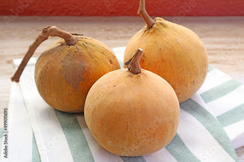 Heap of Fresh Ripe Santol Fruits also Called Wild Mangosteen on Kitchen Towel photo