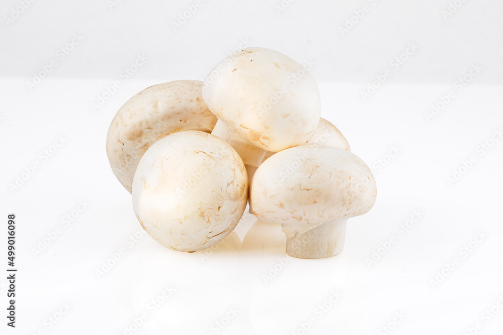 Champignon mushroom on white background. Full depth of field. Close-up