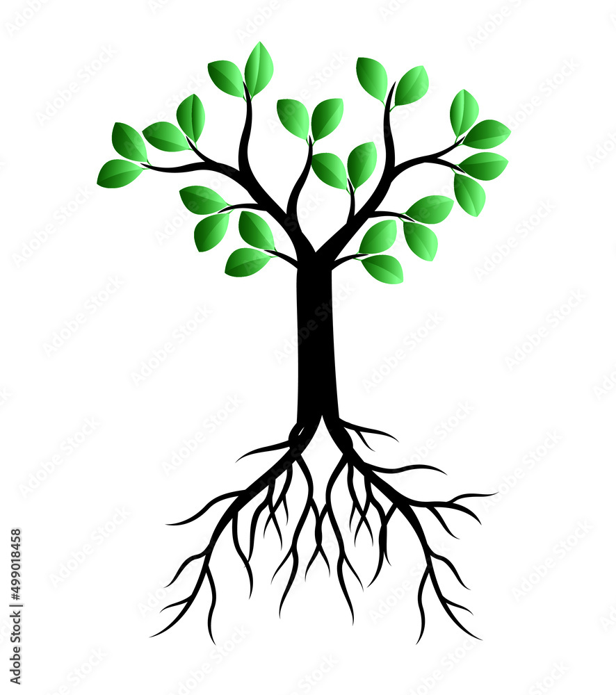 Fototapeta premium Green Tree. Vector outline Illustration.