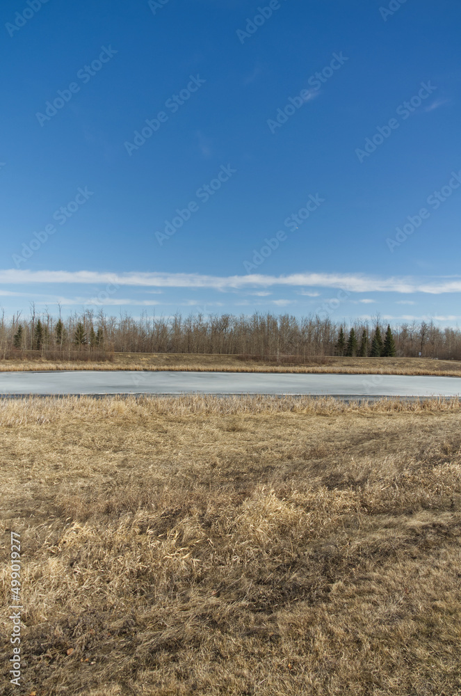 Pylypow Wetlands in the Early Spring