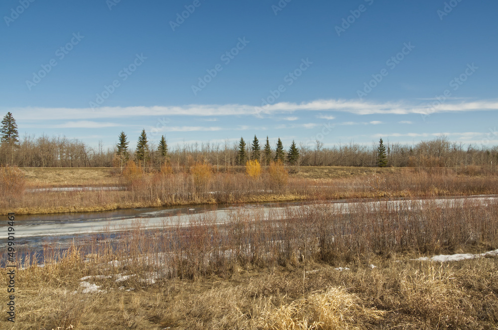Pylypow Wetlands in the Early Spring Pylypow Wetlands in the Early Spring