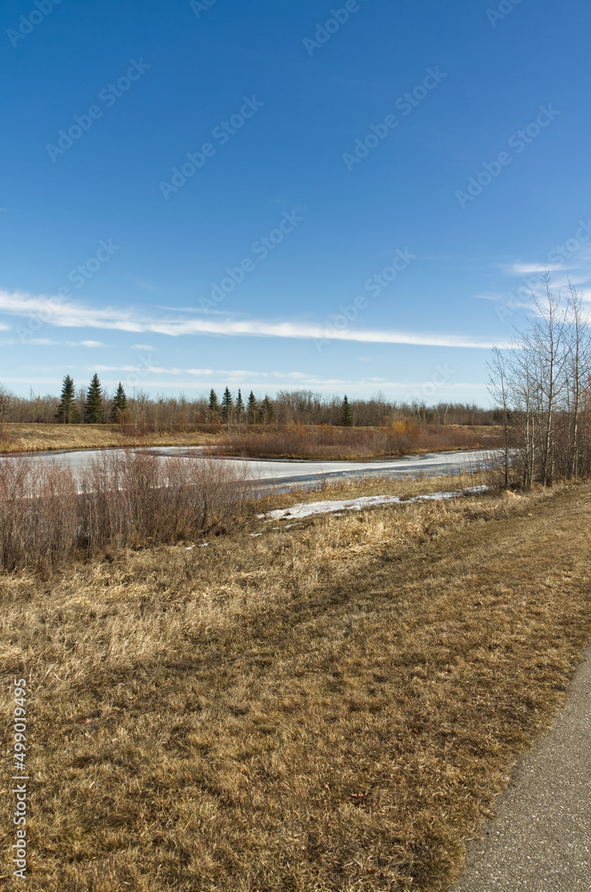 Pylypow Wetlands in the Early Spring Pylypow Wetlands in the Early Spring
