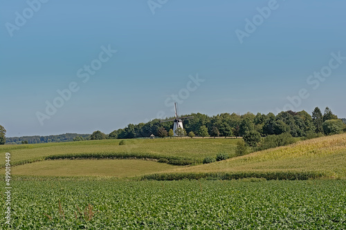 Typical flemish farm landscape with agricultural fields, forest and historic windmill in the rolling hills on a sunny summerday in Maarkedal, Flanders, Belgium  photo
