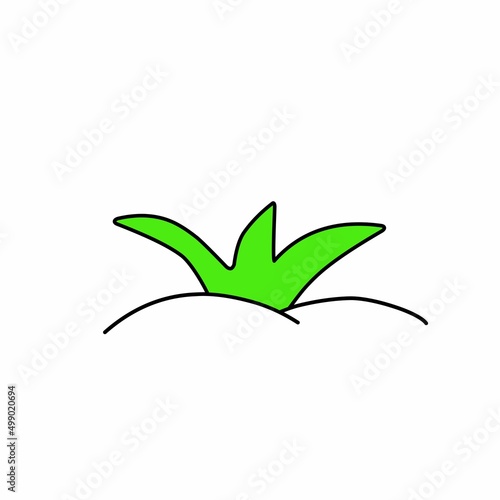 green leaf isolated on white