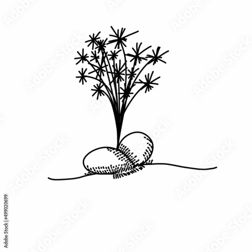 black and white flowers
