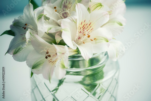 Delicate small bouquet of white alstroemeria flowers on a light pastel background. Spring holidays and Easter holidays. Mothers Day. Romantic postcard.
 photo