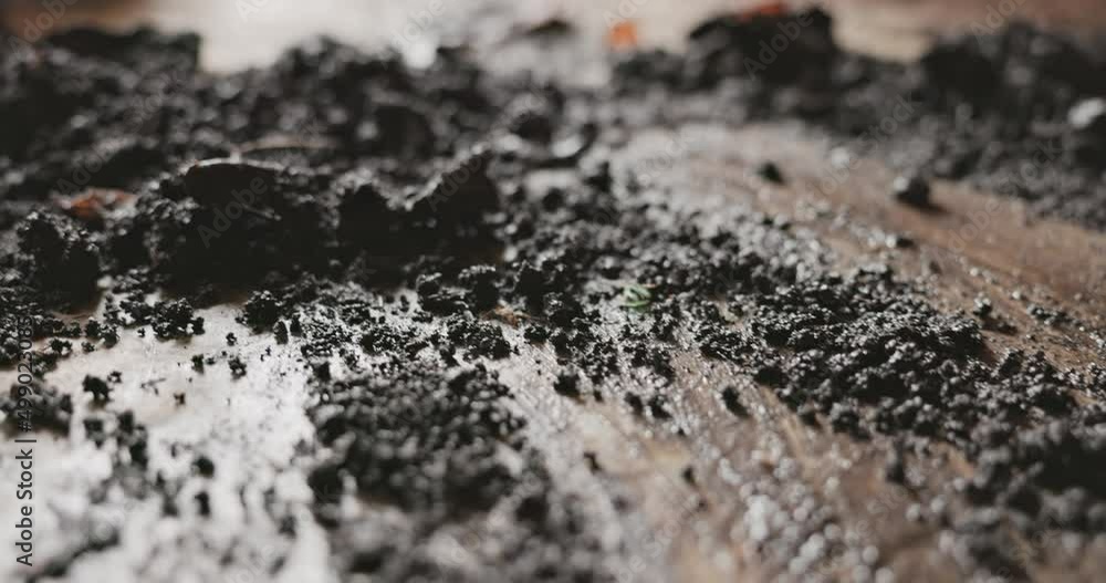 Wet dark soil on the ground closeup Wet dark soil on the ground closeup