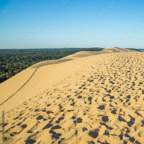 Dune of Pilat in La Teste-de-Buch  France