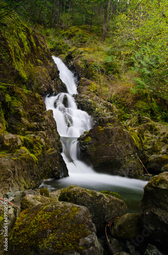 waterfall in the forest